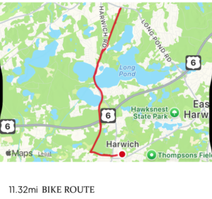 Mental health event bike route - map