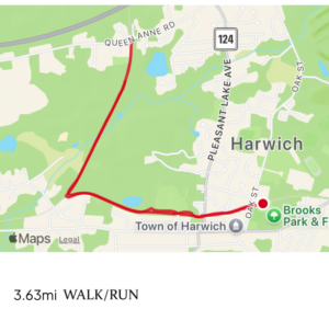 Mental health event bike route map